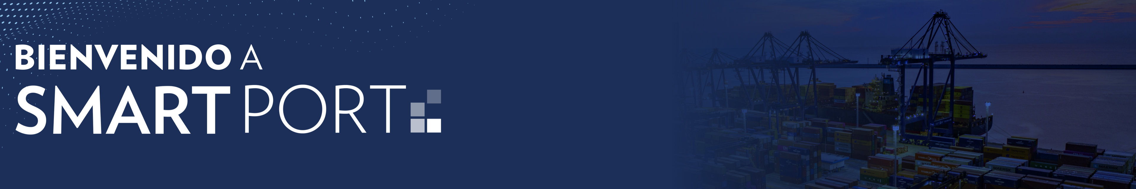 banner6