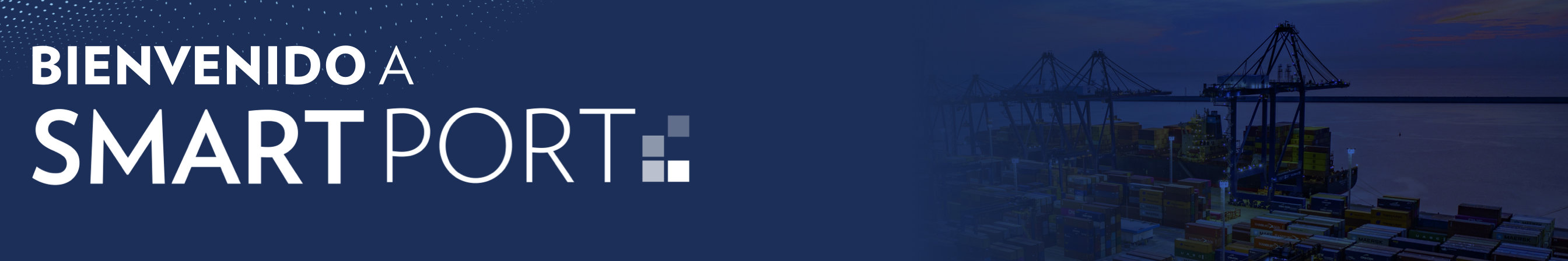 banner6